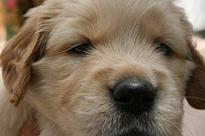 IMG_5314