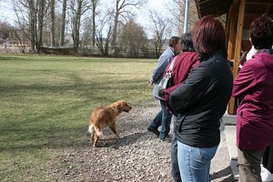 IMG_9381