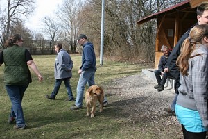 IMG_9382