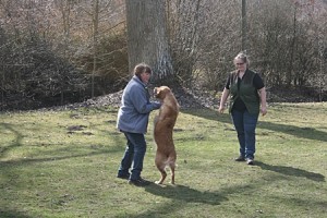 IMG_9412