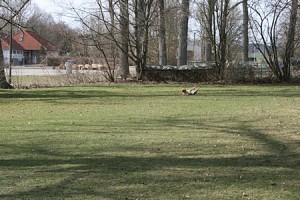 IMG_9428