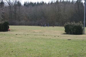 IMG_9469