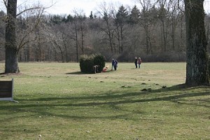 IMG_9484