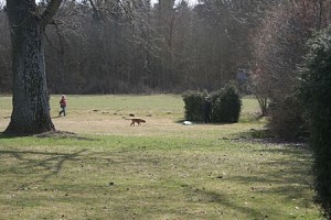 IMG_9488