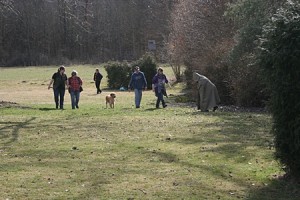 IMG_9491