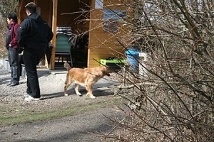 IMG_9503
