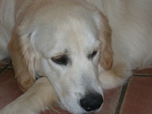 Charly