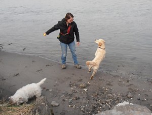 Joy beim Spielen