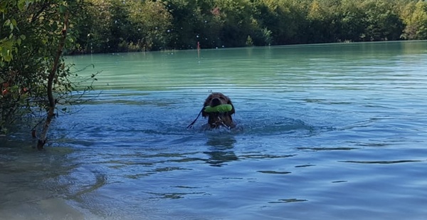 Frieda hat Spaß im Wasser
